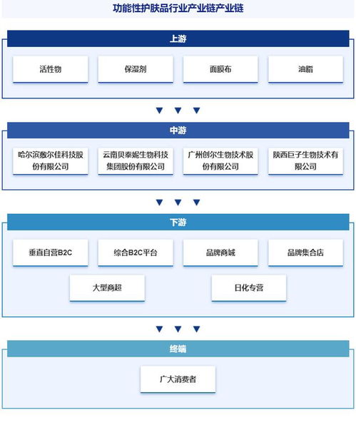 中國(guó)功能性護(hù)膚品行業(yè)分析 政策、市場(chǎng)集中度、競(jìng)爭(zhēng)格局與發(fā)展趨勢(shì)預(yù)測(cè)